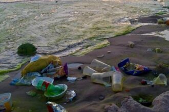 Câmara do Rio obriga Paes a cuidar das praias e derruba veto ao projeto Praia Limpa