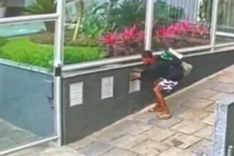 Estão depenando a Zona Sul: impunidade alimenta onda de furtos