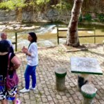 Cascata do Imbuí: Teresópolis inicia resgate de um tesouro natural e turístico