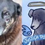 'De embrulhar o estômago’, diz governador de SC — Até quando monstros serão tratados como crianças?