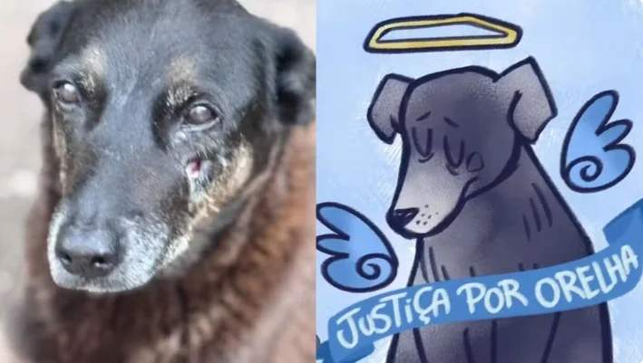 'De embrulhar o estômago’, diz governador de SC — Até quando monstros serão tratados como crianças?