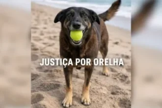 Governador cobra maioridade penal após caso Orelha: 'leis brandas não seguram a barbárie'