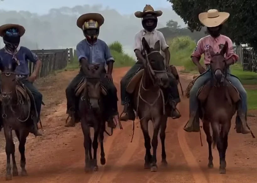 Norma do governo federal que obriga peão a trocar chapéu por capacete vira chacota e memes na internet