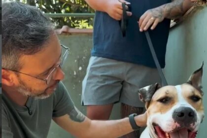 'Chega de omissão': Revolta toma Niterói após ataque e abandono de animais e população vai às ruas exigir ação