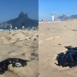 Resíduos de óleo encontrados na Praia de Ipanema serão vistoriados Ibama