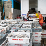 Trabalhadores organizam caixas de pescado junto a um caminhão frigorífico em São João da Barra.