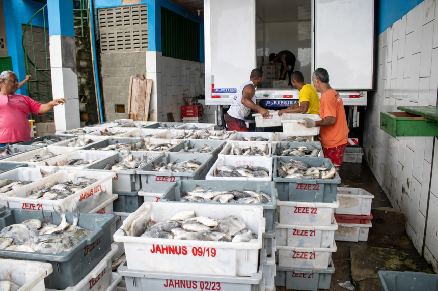 Trabalhadores organizam caixas de pescado junto a um caminhão frigorífico em São João da Barra.