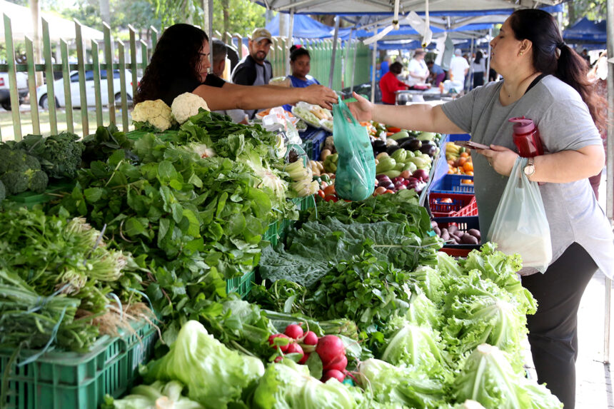 Mulher entrega uma sacola de produtos a uma cliente em banca de feira com verduras, legumes e frutas.