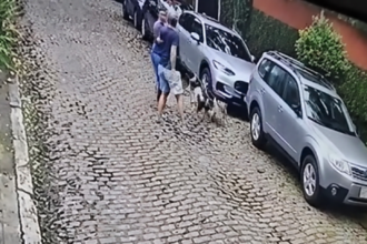 Imagem de câmera de segurança mostra pessoas e cães em uma rua de paralelepípedos, ao lado de carros estacionados.
