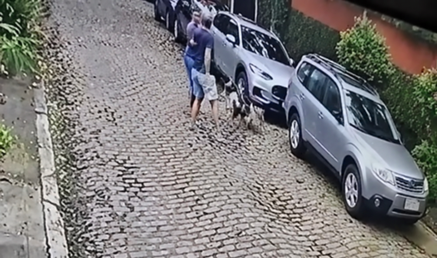 Imagem de câmera de segurança mostra pessoas e cães em uma rua de paralelepípedos, ao lado de carros estacionados.