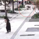 Idosa foi agredida durante um roubo na Rua Venâncio Flores, no Leblon - Arquivo pessoal